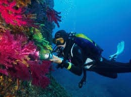 Reserva Marina Cabo Palos